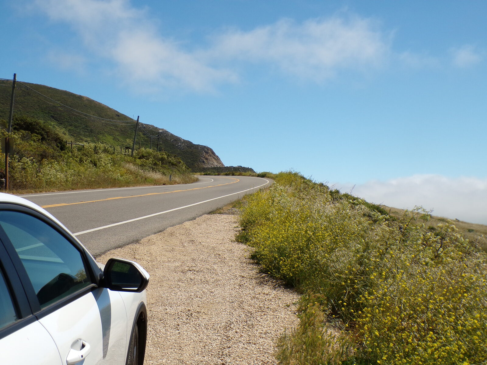 Fog rolling over the cliffs along the Big Sur coastline